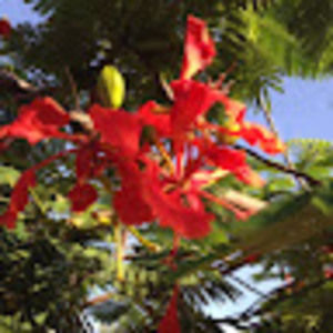 Meet your Posher, Martha